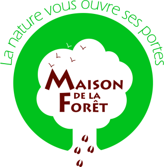 La Maison de la Forêt, partenaire de la Forêt irrégulière école (FIE) du Parc national de forêts