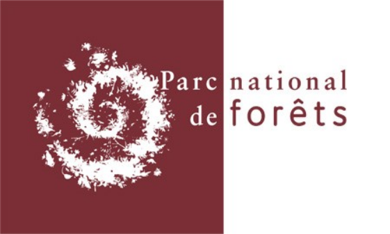 Le Parc national de forêts, partenaire de la Forêt irrégulière école (FIE) du Parc national de forêts