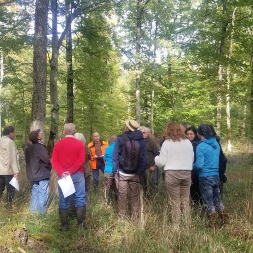 FOGEFOR, un cycle de formations à la SMCC pour les propriétaires forestiers privés