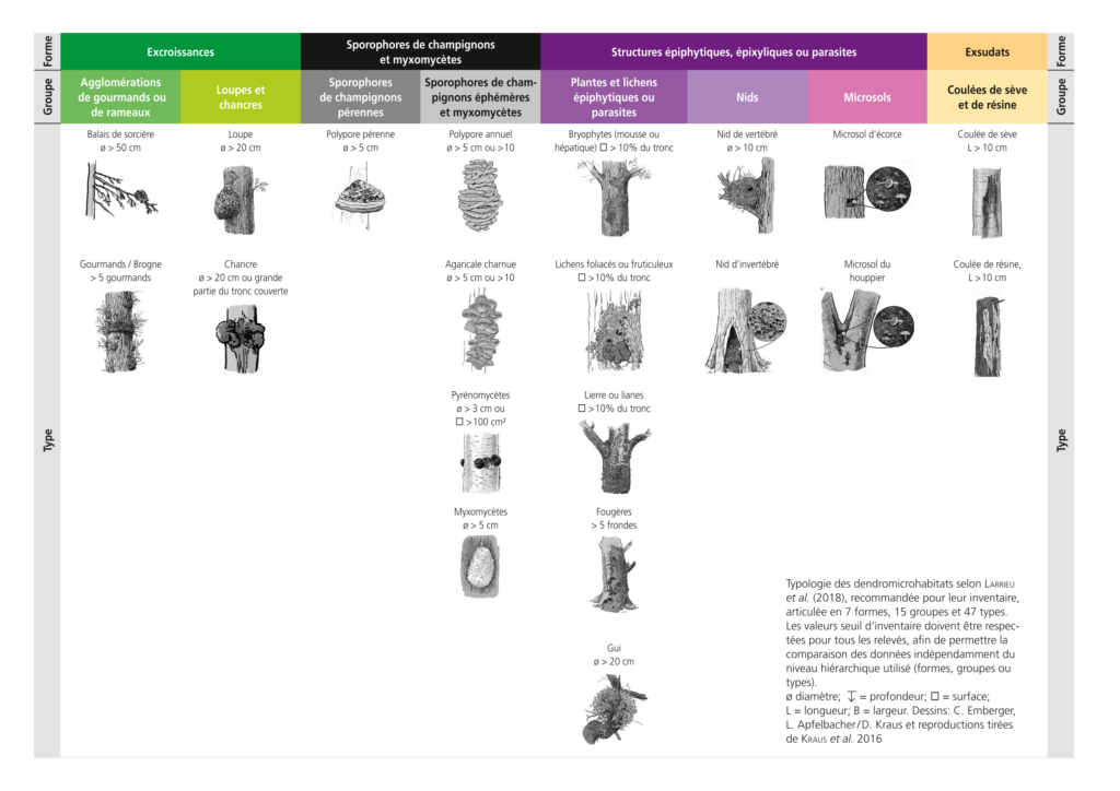 Image de la typologie des dendro-microhabitats par Larrieu et al. 2018