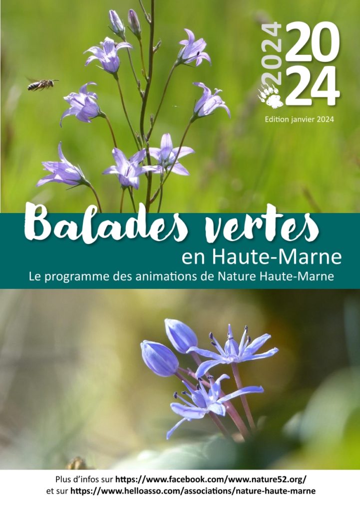 Première page agenda des Balades Vertes de Nature Haute-Marne