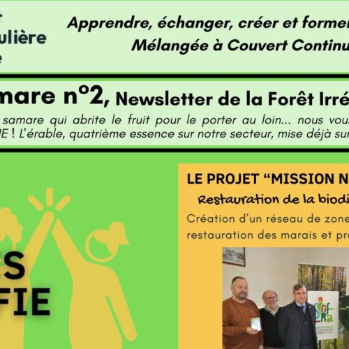Nouveau numéro de la Samare, la newsletter de la FIE !