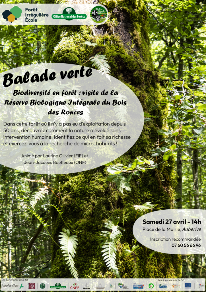 Affiche de la sortie Biodiversité en forêt du 27 avril 2024